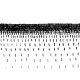 Kloos-5